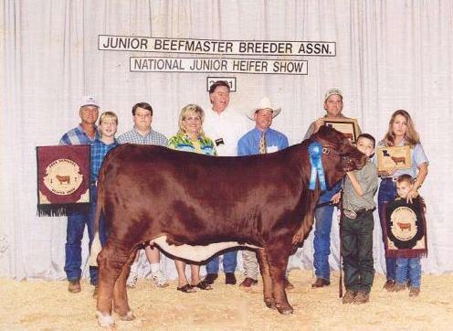 Clara's Frosty Princess